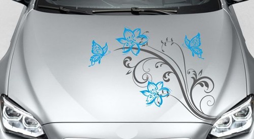 Aufkleber motorhaube auto - motorhaube, car