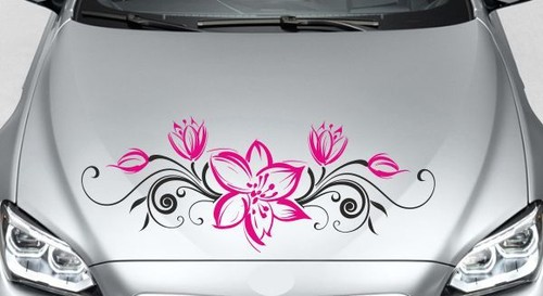 Aufkleber motorhaube auto car - aufkleber,