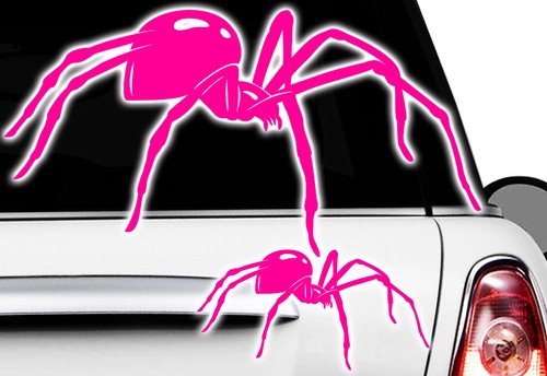 Spider spinnen - spider,